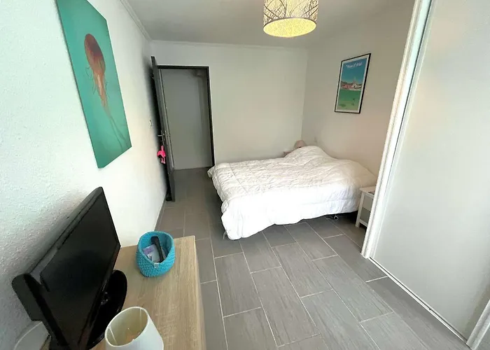 Beau 3 Pièces Climatisé, Piscine Privée, Parking Au Grau-du-roi - Fr-1-307-215 Le Grau-du-Roi